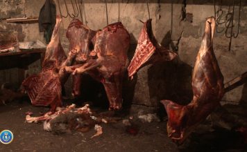 ცხენისა და ვირის ხორცის საქონლის ხორცის სახით რეალიზაციის ფაქტზე ორი პირი ამხილეს