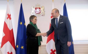 პრემიერ-მინისტრმა ევროსაბჭოს საპარლამენტო ასამბლეის პრეზიდენტს უმასპინძლა